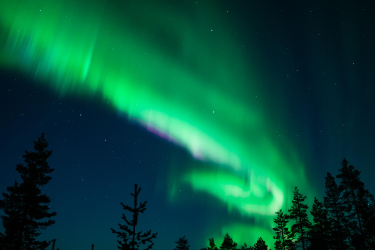 Levi: Excursão à aurora boreal com observação garantida