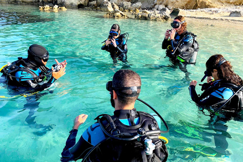 Zakynthos: Scuba Diving Experience with Underwater Photos Double dive discover scuba diving course