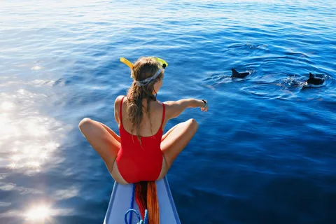 Bali/Lovina: Dolfijnen snorkelen, zwemmen & waterval tour