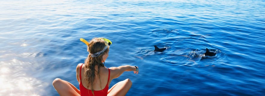Bali/Lovina : Plongée avec masque et tuba, baignade et chute d'eau pour les dauphins