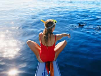 Bali/Lovina: Dolphin Snorkeling, Swimming & Waterfall Tour