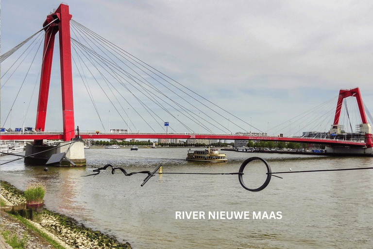 La campiña de Rotterdam sobre ruedas - paseo en bici por la ciudad