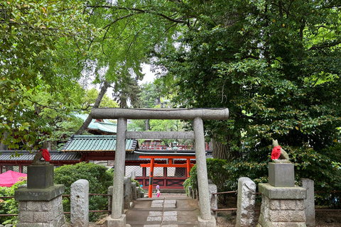 Tradycyjne stare miasto w Tokio - Yanaka, Nezu i Ueno SakuragiTokio : Stare tradycyjne miasto~Yanaka,Nezu&amp;Ueno Sakuragi