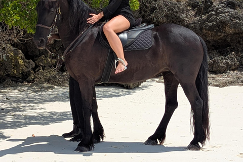 Zanzibar: Beach Horse Riding At Jambiani With Hotel Pick up PRIVATE TOUR WITH HOTEL PICK UP & NO ENTRY FEE INCLUDE