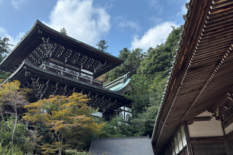 Hiroshima: Miyajima Private Tour with Ferry Ride