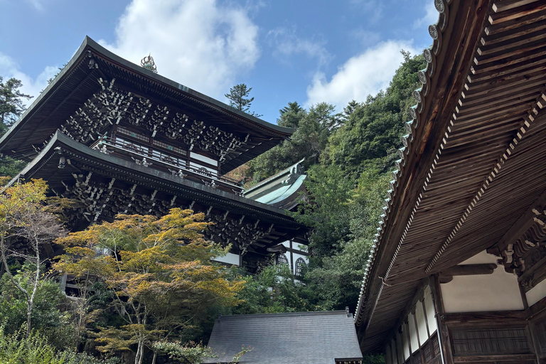 Hiroshima: Miyajima Private Tour with Ferry Ride