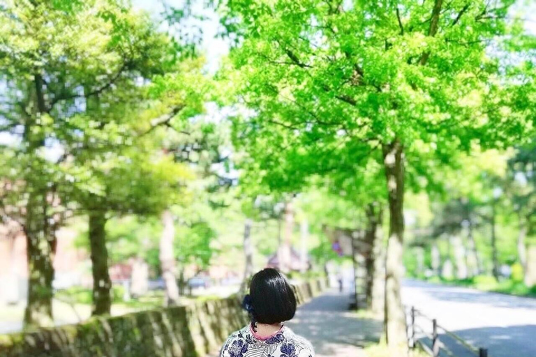 Kanazawa: Kimono Dressing & City Stroll Experience Ticket | Yukata Experience Course