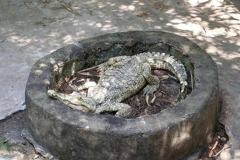 Mombasa: Tour privado de un día con el Parque Haller y el Fuerte Jesús