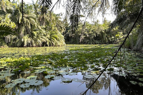 Zanzibar: Masingini Forest Hike and Herbal Healing Tour