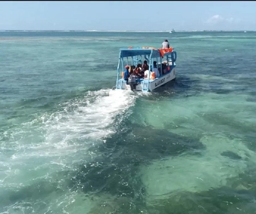 Diani Beach: Glass Boat Cruise to Robinson Island