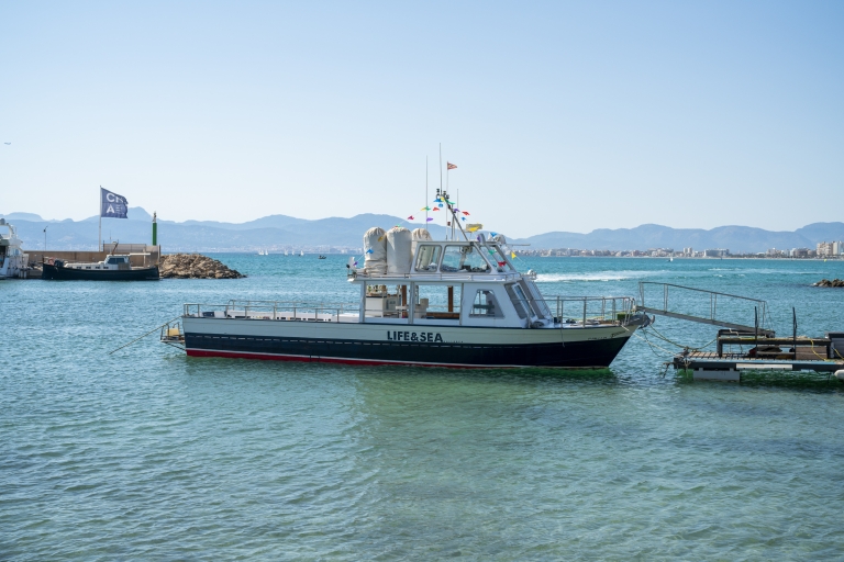 El Arenal, Mallorca: paseo en barco por la bahía de Palma