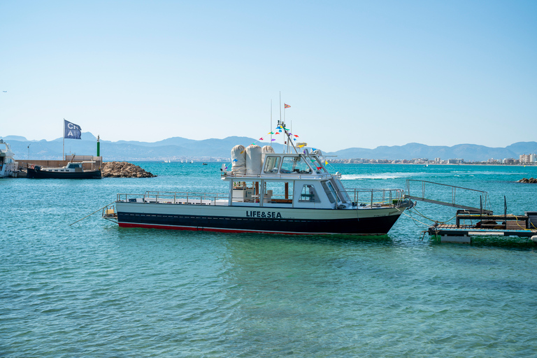 S'Arenal : tour en bateau dans la baie de Palma