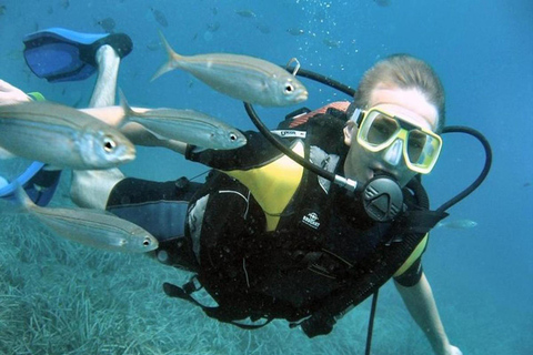 From Side and Alanya: Guided Beginner Level Scuba Diving