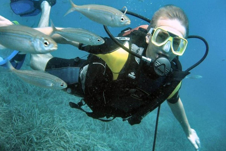 From Side and Alanya: Guided Beginner Level Scuba Diving