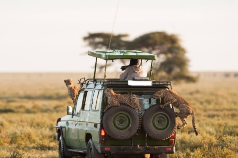 Luksusowy pakiet Maasai Mara Fly na 3 dni