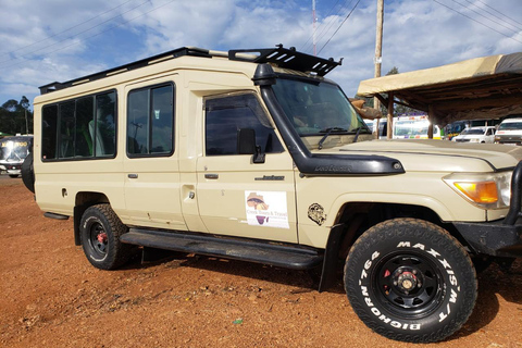 Kenyan: 6 DAYS AND 5 NIGHTS Safari Adventure.