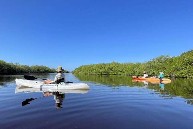 Visit Mahahual Kayaking in the Mangroves Experience in Costa Maya