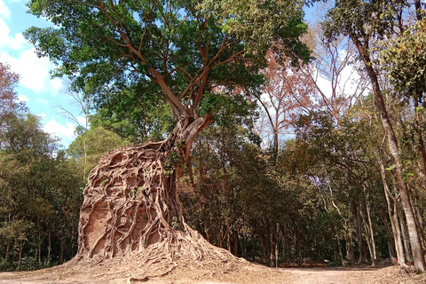 Cambodia: 7-Day Cycling Tour from Phnom Penh to Siem Reap