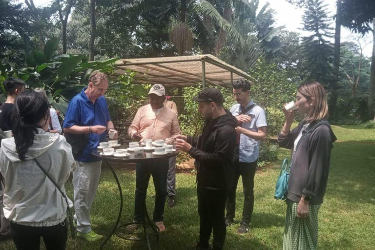 Nairobi: Tour della fabbrica e della fattoria del caffè con trasferimento