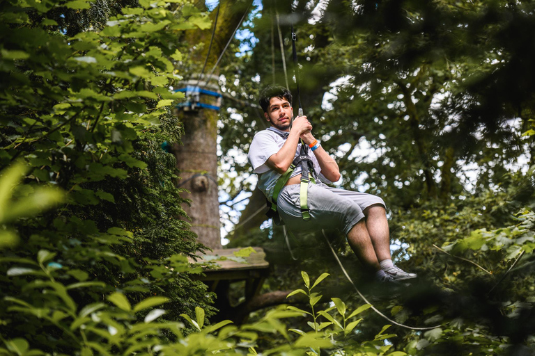 Windermere: Treetop Course (Full Trek)