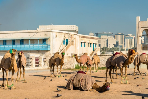 Doha : Visite guidée de Souq Waqif, Corniche, Katara, Pearl