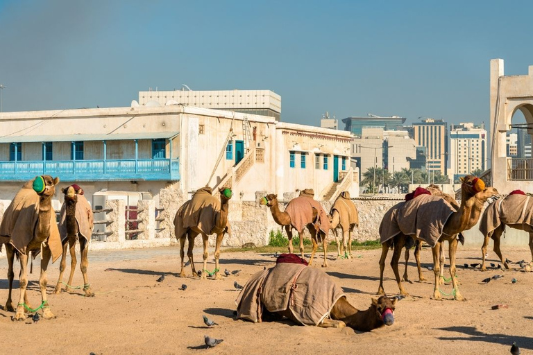 Doha: wycieczka z przewodnikiem do Souq Waqif, Corniche, Katara, Pearl