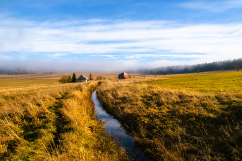 Ore Mountains: Karlovy Vary, Sauersack Mystery & Wetlands