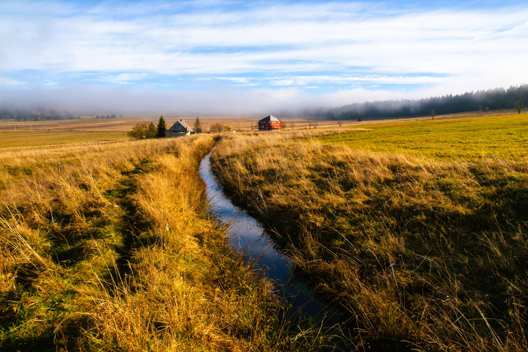 Ore Mountains: Karlovy Vary, Sauersack Mystery & Wetlands