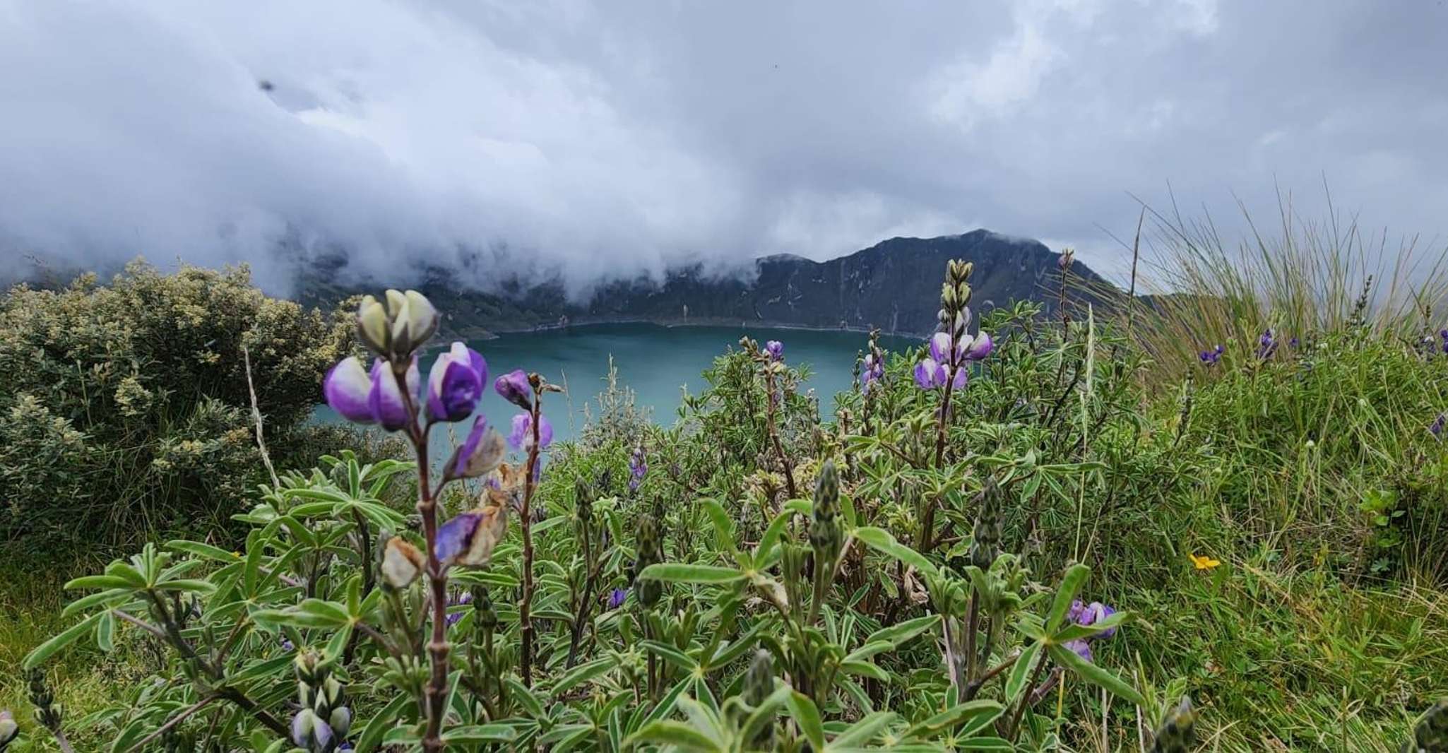 Día completo en Laguna Quilotoa, naturaleza y cultura andina - Housity