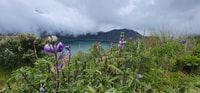 Laguna Quilotoa、Nature and Andean Cultureでの1日 - Housity