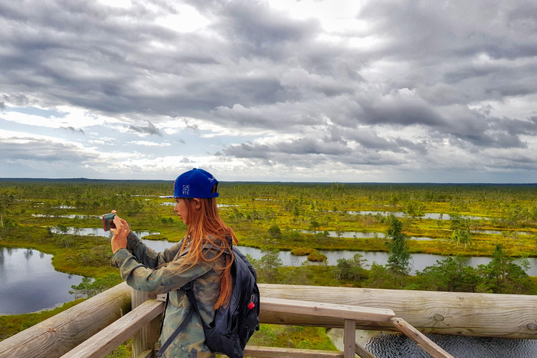 Ķemeri Great Bog With Optional Sunrise & Jūrmala Visit Ķemeri Bog Shared Small Group Tour