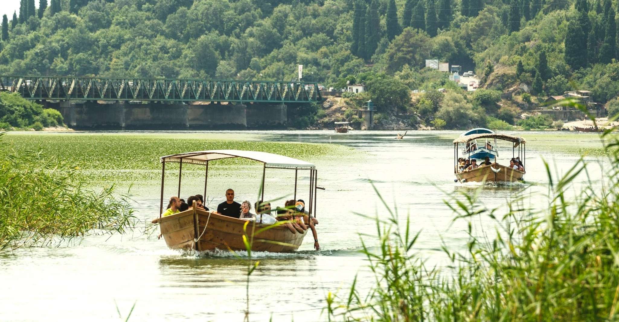 Wildlife, Wine, and Sunset Magic at Lake Skadar - Housity