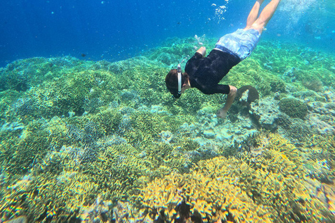 Pemuteran Bali: Menjangan Island Snorkeling Trip with Lunch
