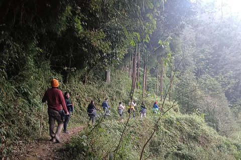 Bagdogra: Sandakphu & Phalut Trek with Meals & Guide