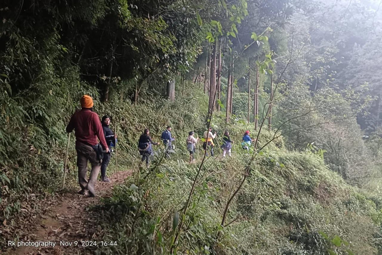 Bagdogra: Sandakphu & Phalut Trek with Meals & Guide