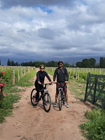 BikeTour- Wineries & Chocolate Factory - Housity
