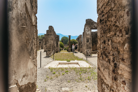 Z Rzymu: Pompeje, Wybrzeże Amalfi i Positano - jednodniowa wycieczkaWycieczka półprywatna z degustacją likieru limoncello