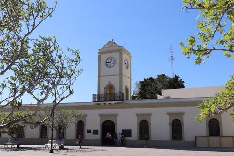 Cabo Encounter with Optional Clear Boat and Lunch
