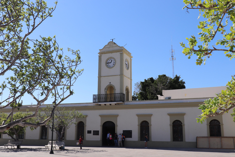 Cabo Encounter with Optional Clear Boat and Lunch