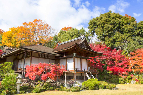 Osaka/Kyoto: Arashiyama, Nara Park & Fushimi Inari Day Tour Kyoto Departure: Private Sightseeing Tours