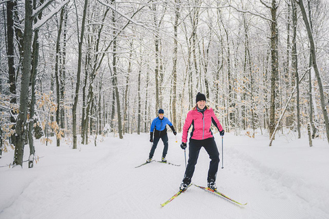 Quebec City: Introduction to cross-country skiing at Camp Mercier