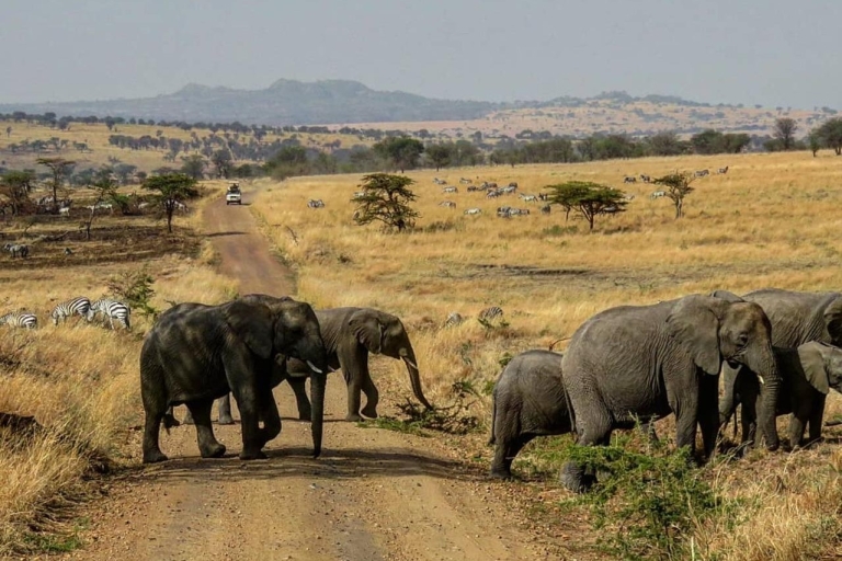 7-daagse avontuurlijke safari alleen voor vrouwen