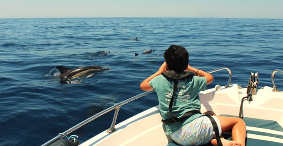 Faro: Dolphin Watching Adventure Boat Tour by Local Skipper