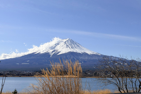 Tokyo: Private Daytrip to Mount Fuji - Fully Customizable Mt Fuji Private Luxury Van Tour (Customizable Experience)