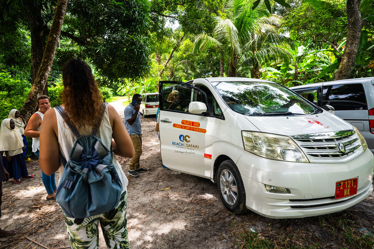 Zanzibar Secret Beach,Jozani and Ngonga Cave with transfer