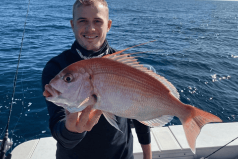 Kotor: Fishing Experience with 100% guaranteed catch