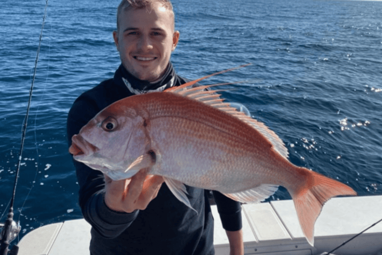 Kotor: Fishing Experience with 100% guaranteed catch