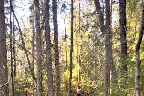 Stockholm: Dog Walk in Nature Reserve with Swedish Fika