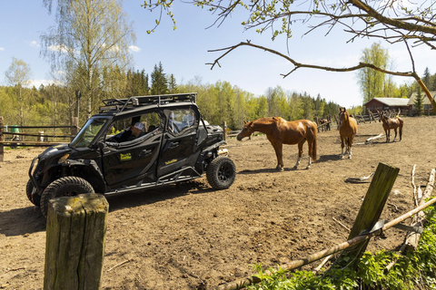赫尔辛基：驯鹿公园与马厩私人游赫尔辛基：驯鹿公园与马厩私人导览游