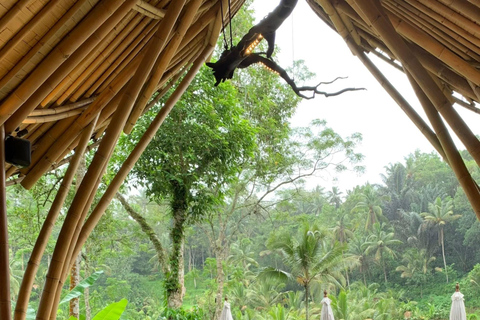 Ubud: Private Half-Day Tour Rice Terrace, Temple & Waterfall Private Ubud Half-Day Tour (Without Entrance Ticket)